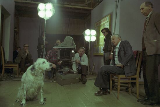 Filming White Bim Black Ear