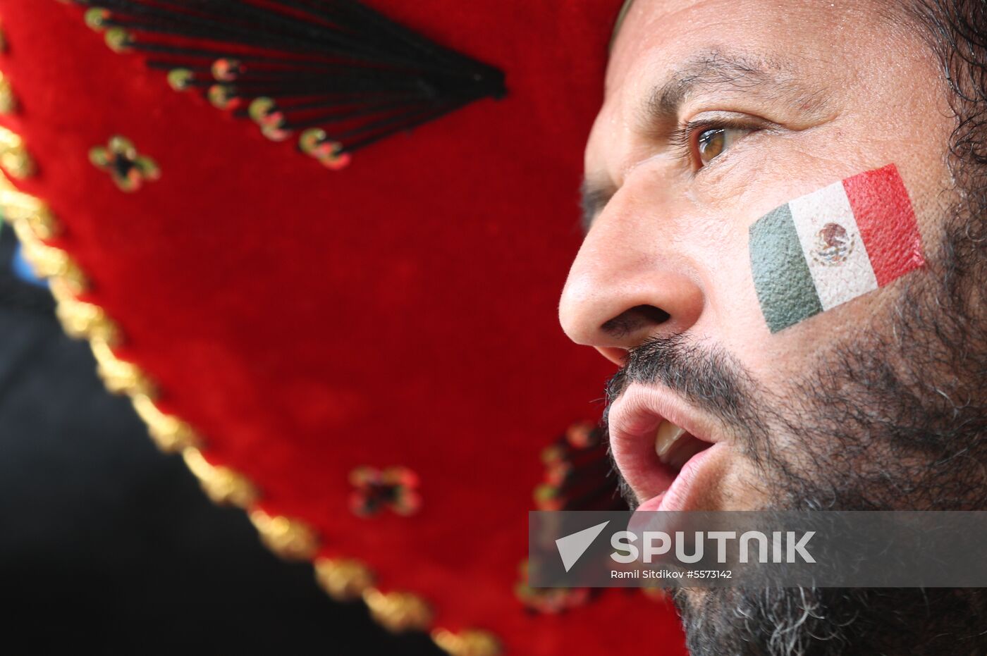 Russia World Cup Brazil - Mexico