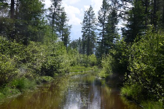 Charskie Peski desert in Trans-Baikal Territory