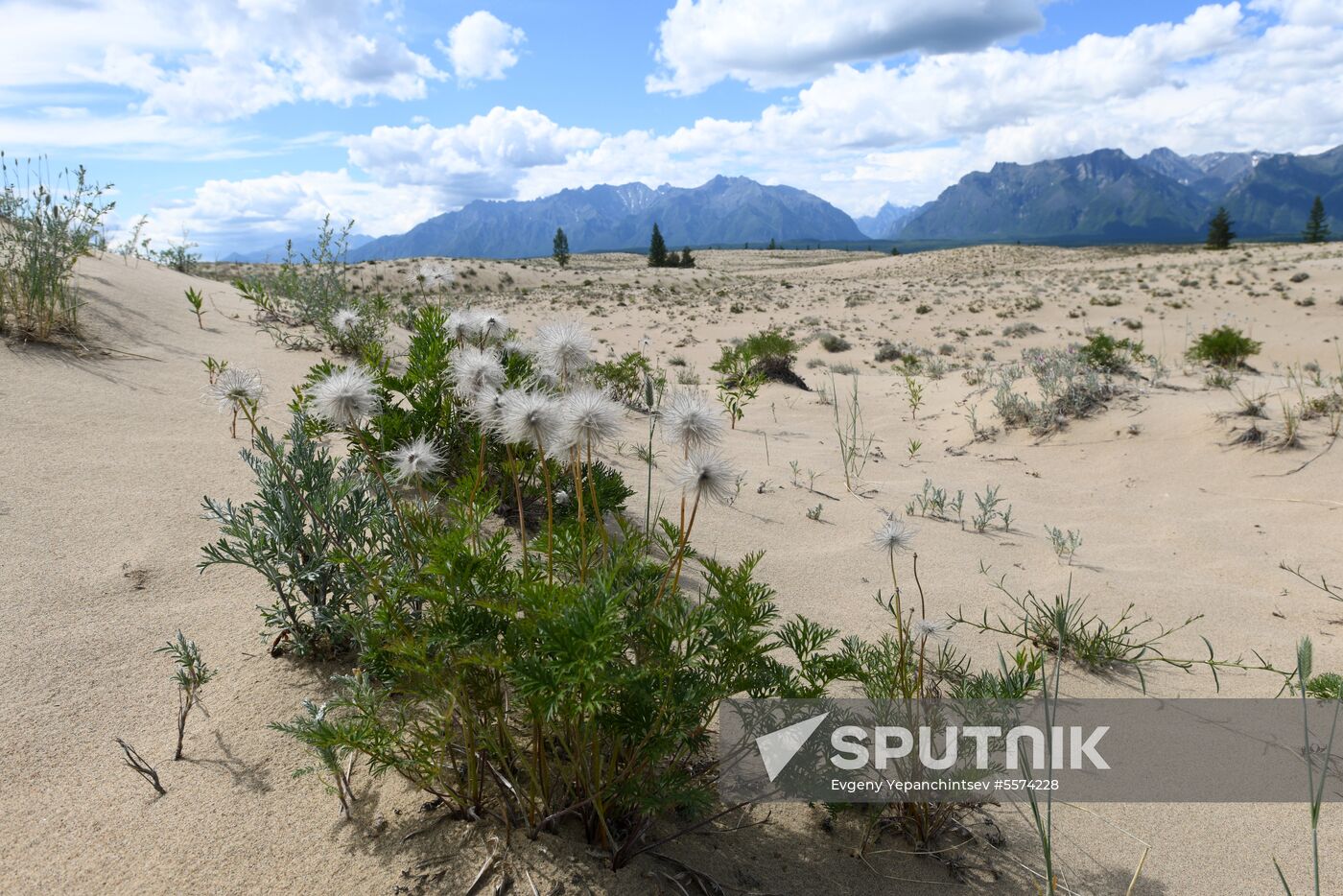 Charskie Peski desert in Trans-Baikal Territory