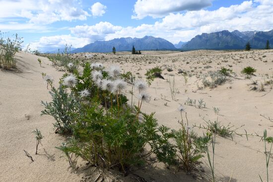 Charskie Peski desert in Trans-Baikal Territory