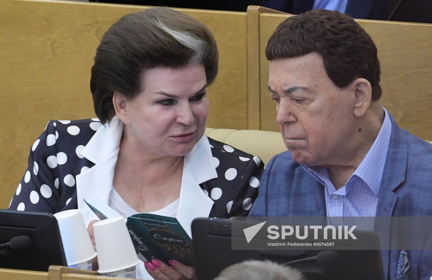 State Duma plenary meeting