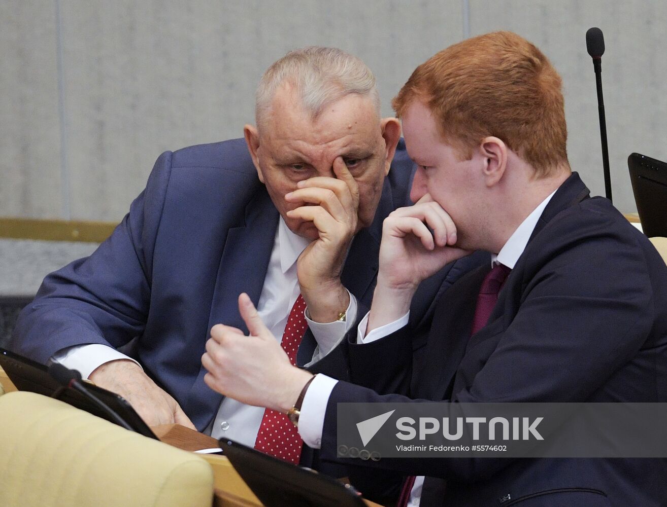 State Duma plenary meeting