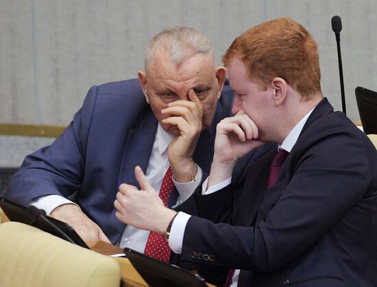 State Duma plenary meeting