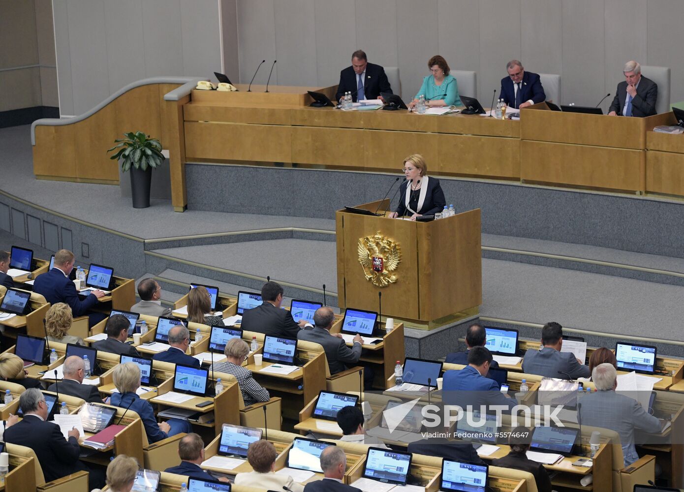 State Duma plenary meeting