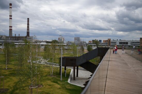Tyufeleva Grove Park in Moscow