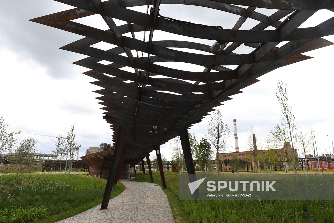 Tyufeleva Grove Park in Moscow