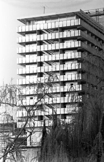 Kamelia hotel