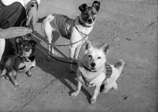 Still from documentary 'First Soviet Space Satellites'