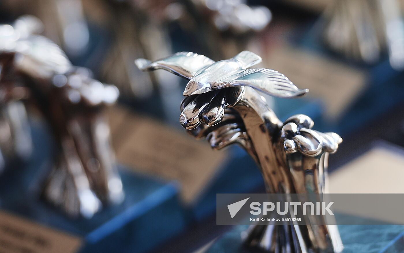 2018 Russian Media Manager award