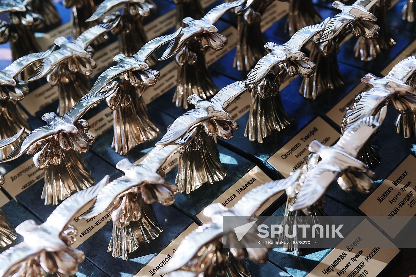 2018 Russian Media Manager award