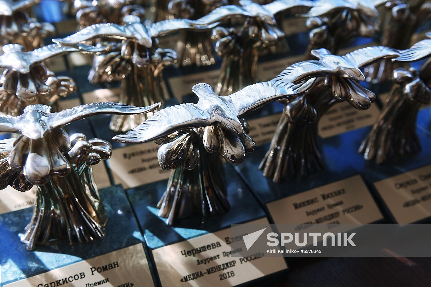 2018 Russian Media Manager award