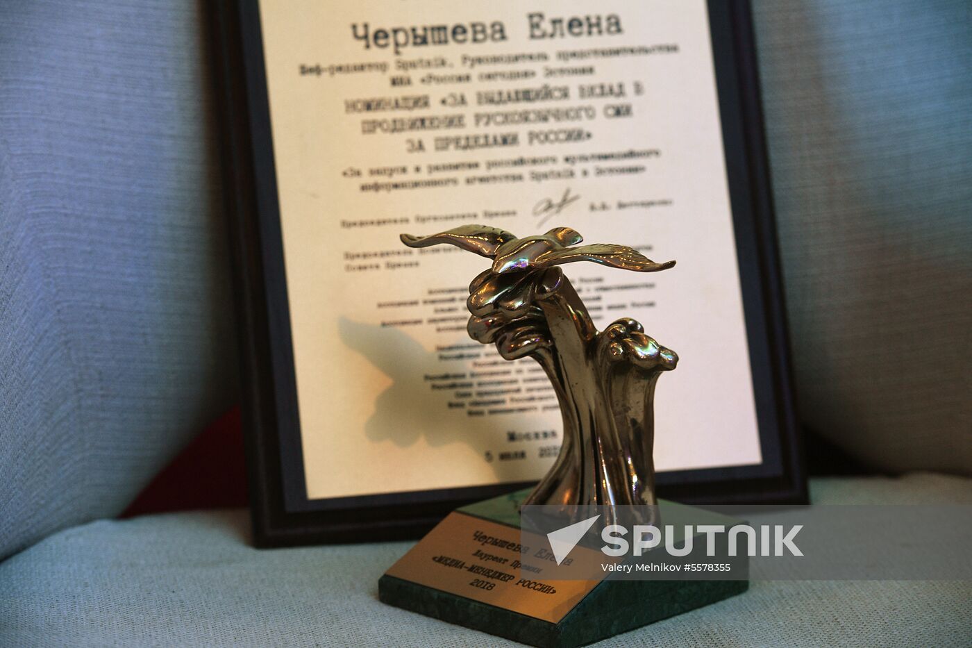 2018 Russian Media Manager award
