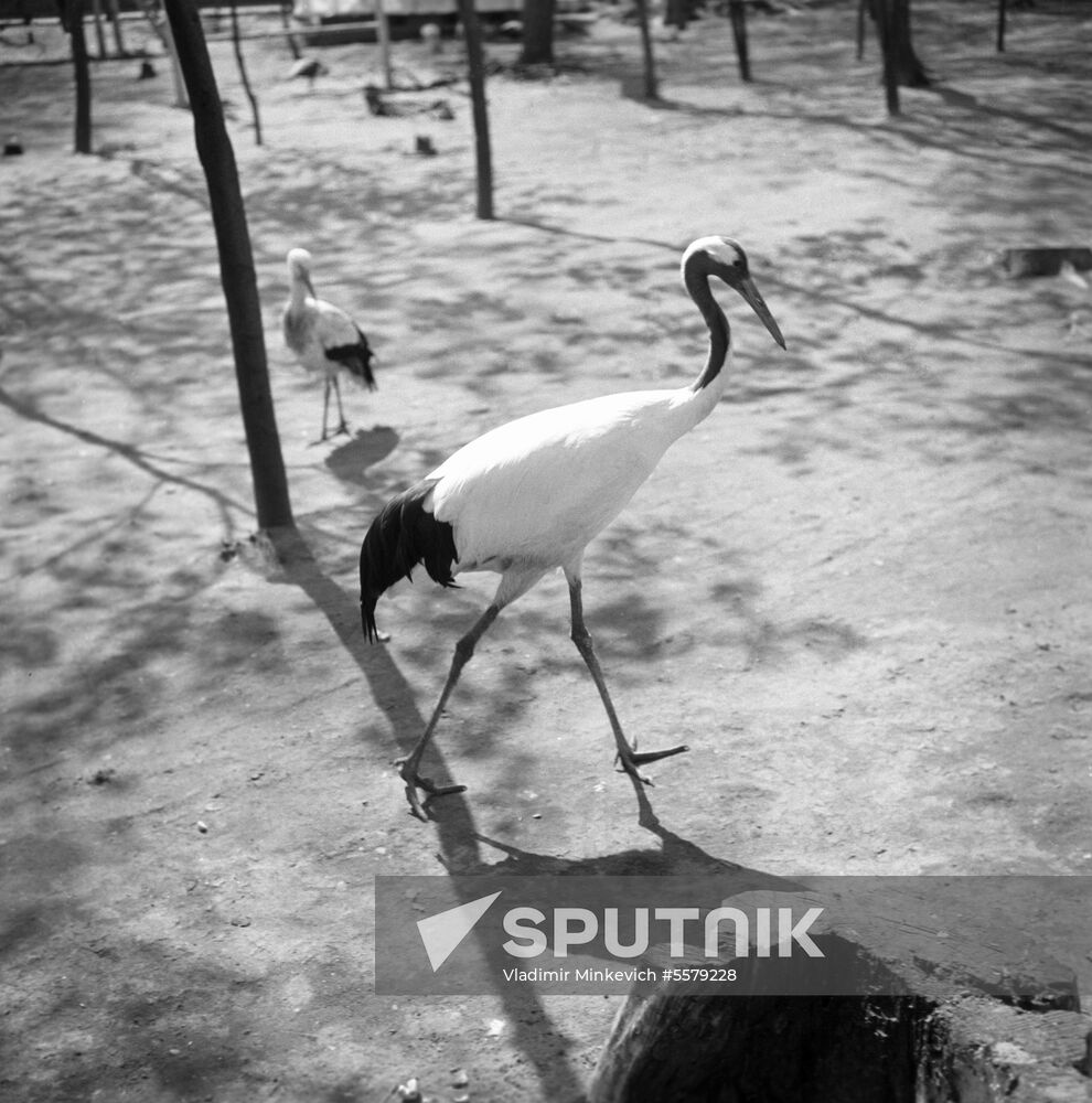 Moscow Zoo