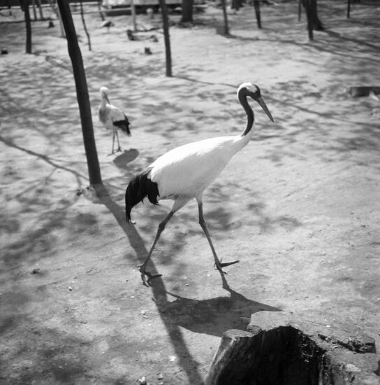 Moscow Zoo