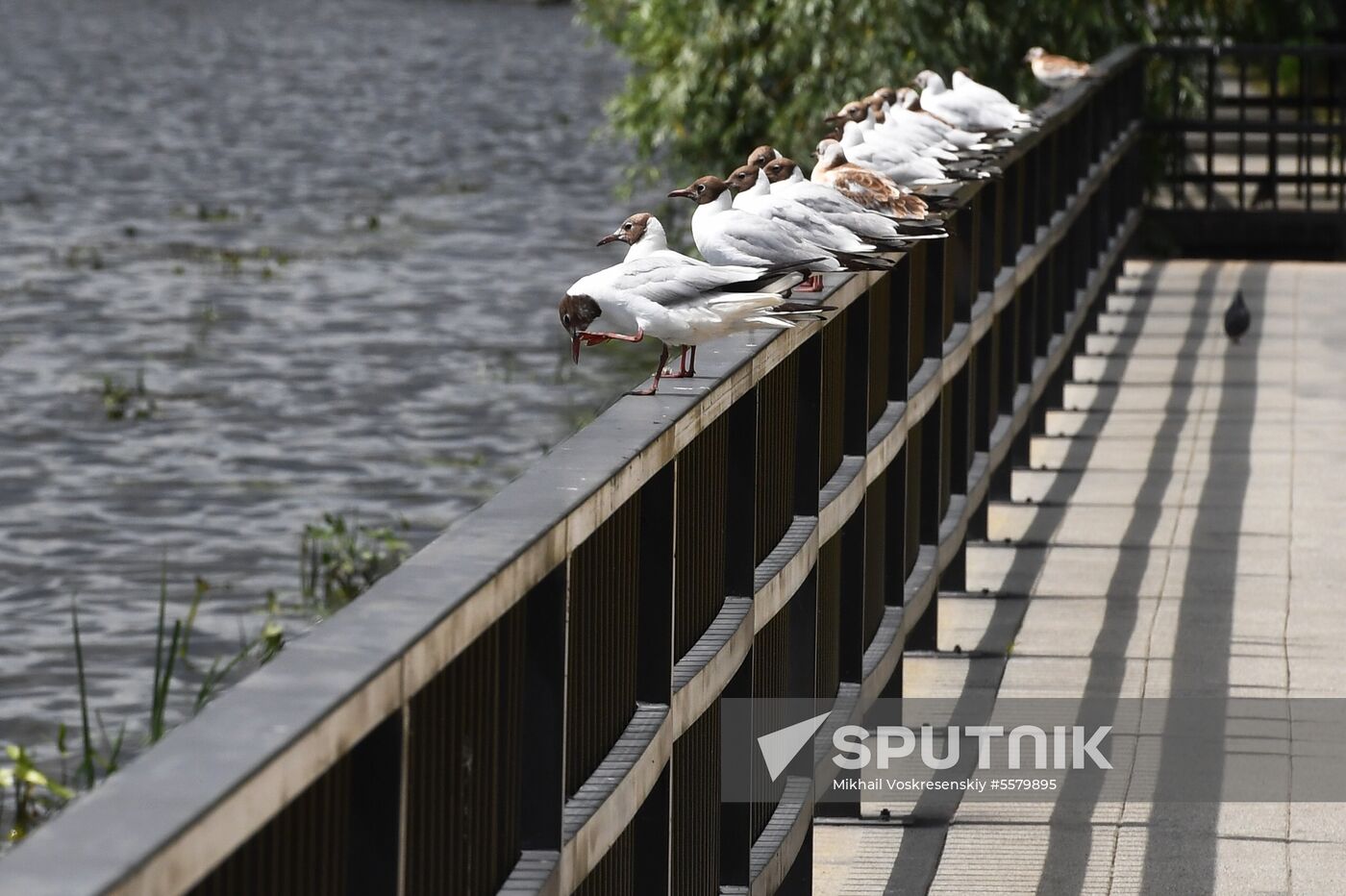 Park of 850th Anniversary of Moscow