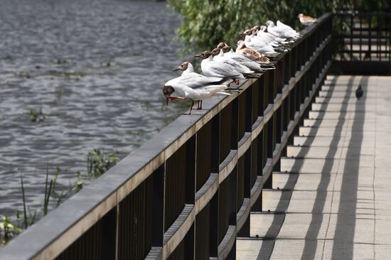 Park of 850th Anniversary of Moscow