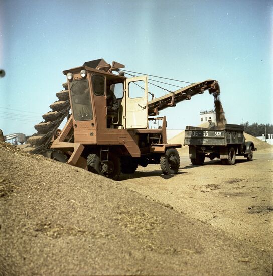 Loading harvested grain