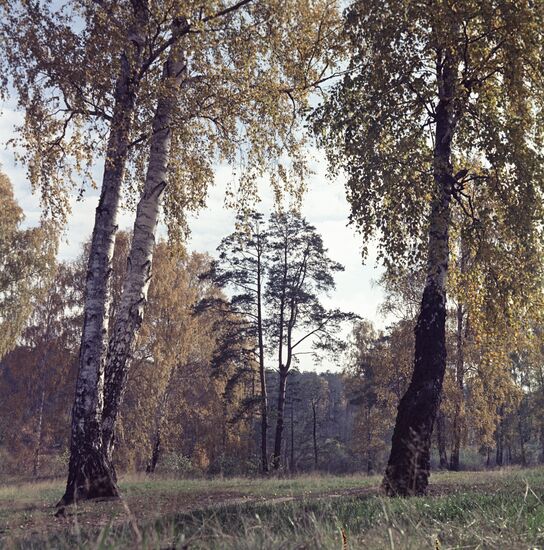 Fall in the Moscow Region.