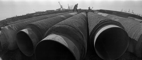 Petroleum pipes for offshore import line