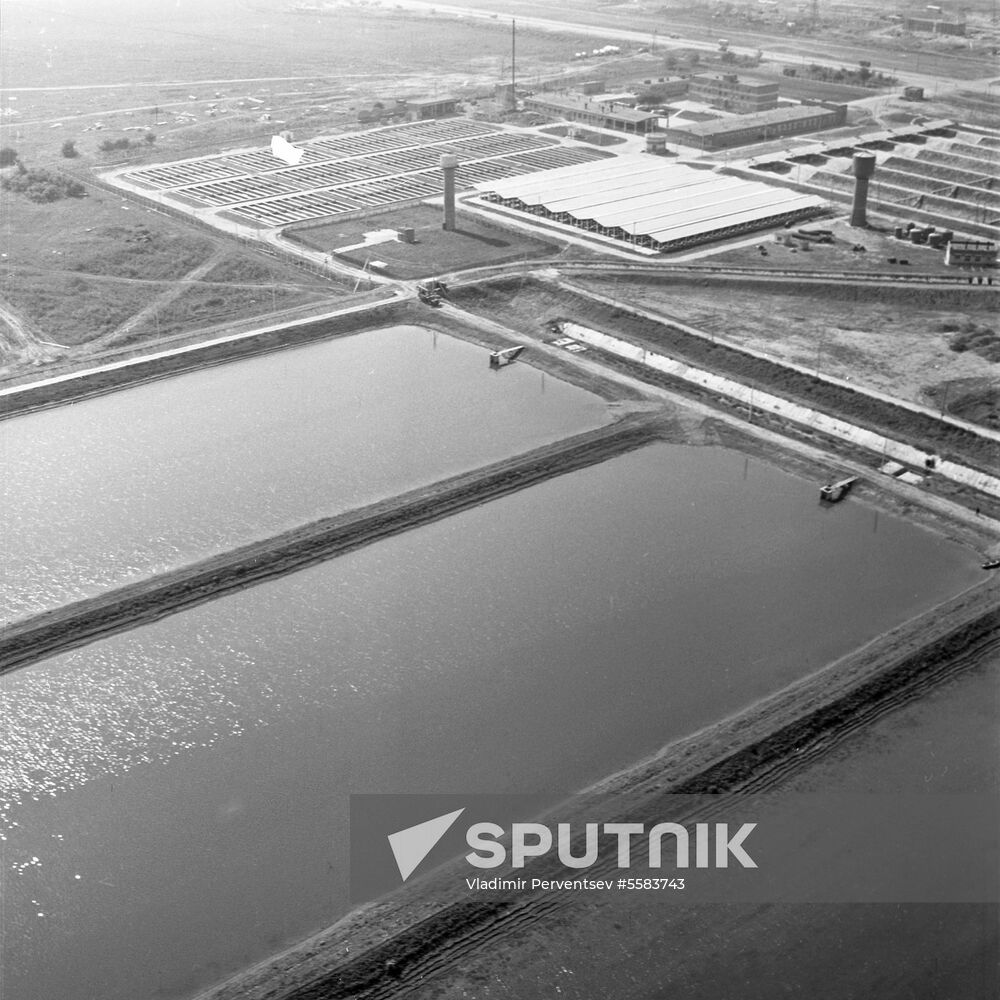 Artificial spawning site