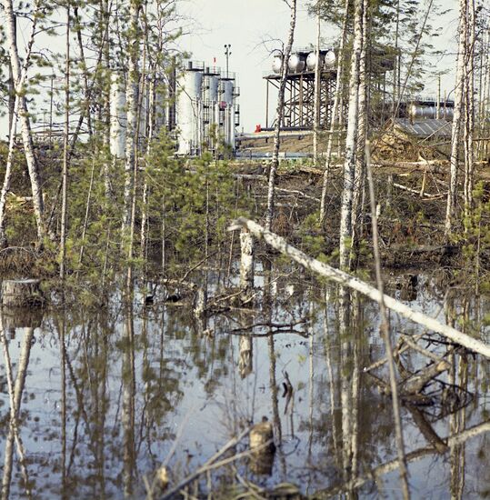 Samotlor Field