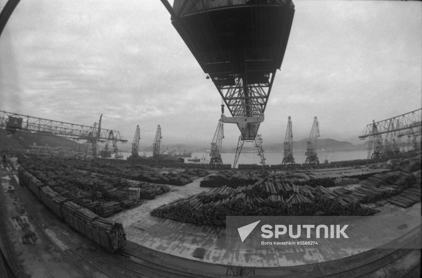 Timber yard in Nakhodka seaport