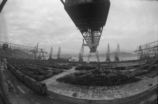 Timber yard in Nakhodka seaport