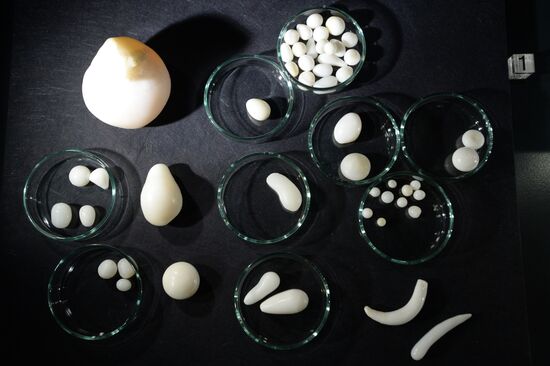 Pearls, Treasures from the Seas and the Rivers exhibition at State Historical Museum