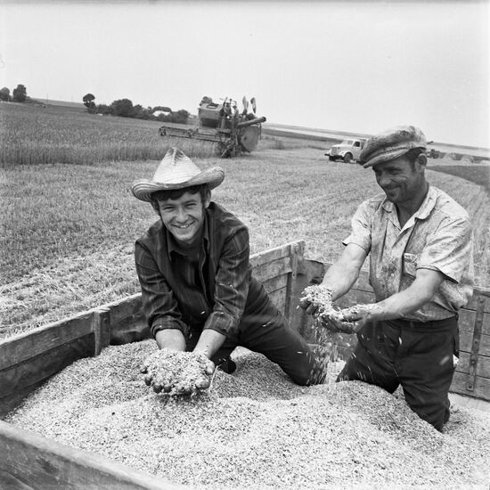 Mechanics of Kirov collective farm in Krasnodar Territory