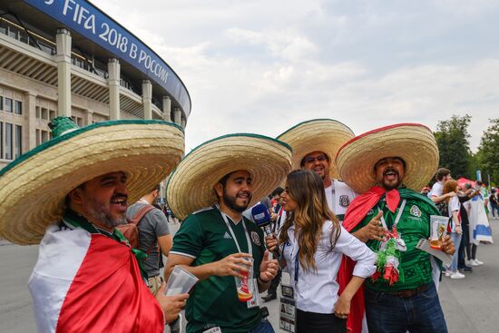 Russia World Cup Fans