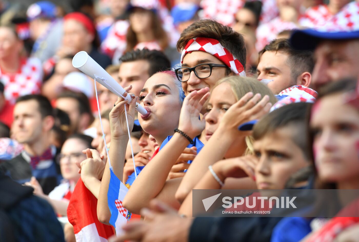 Croatia World Cup Fans