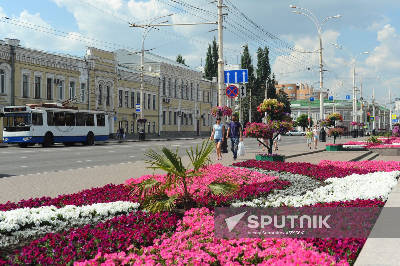 Russian cities. Tambov