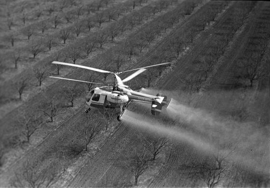 Chapayev collective farm