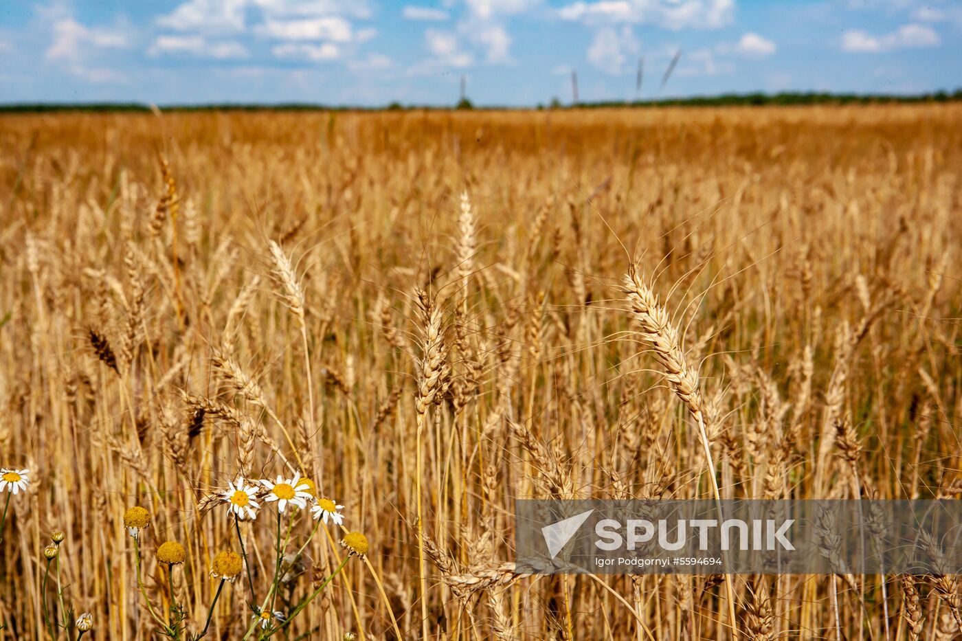 Ryazan Region