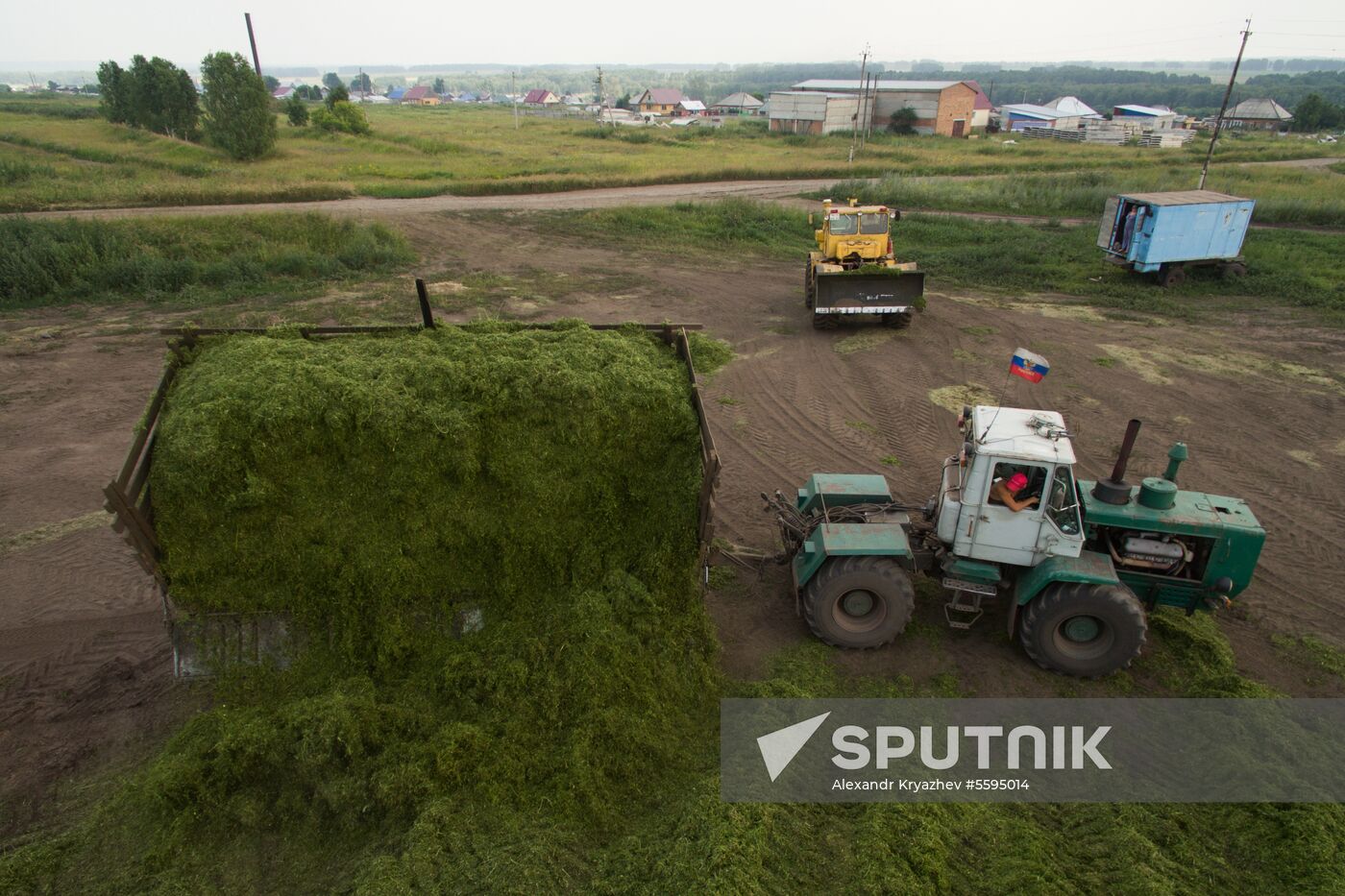 Forage harvesting in Novosibirsk Region