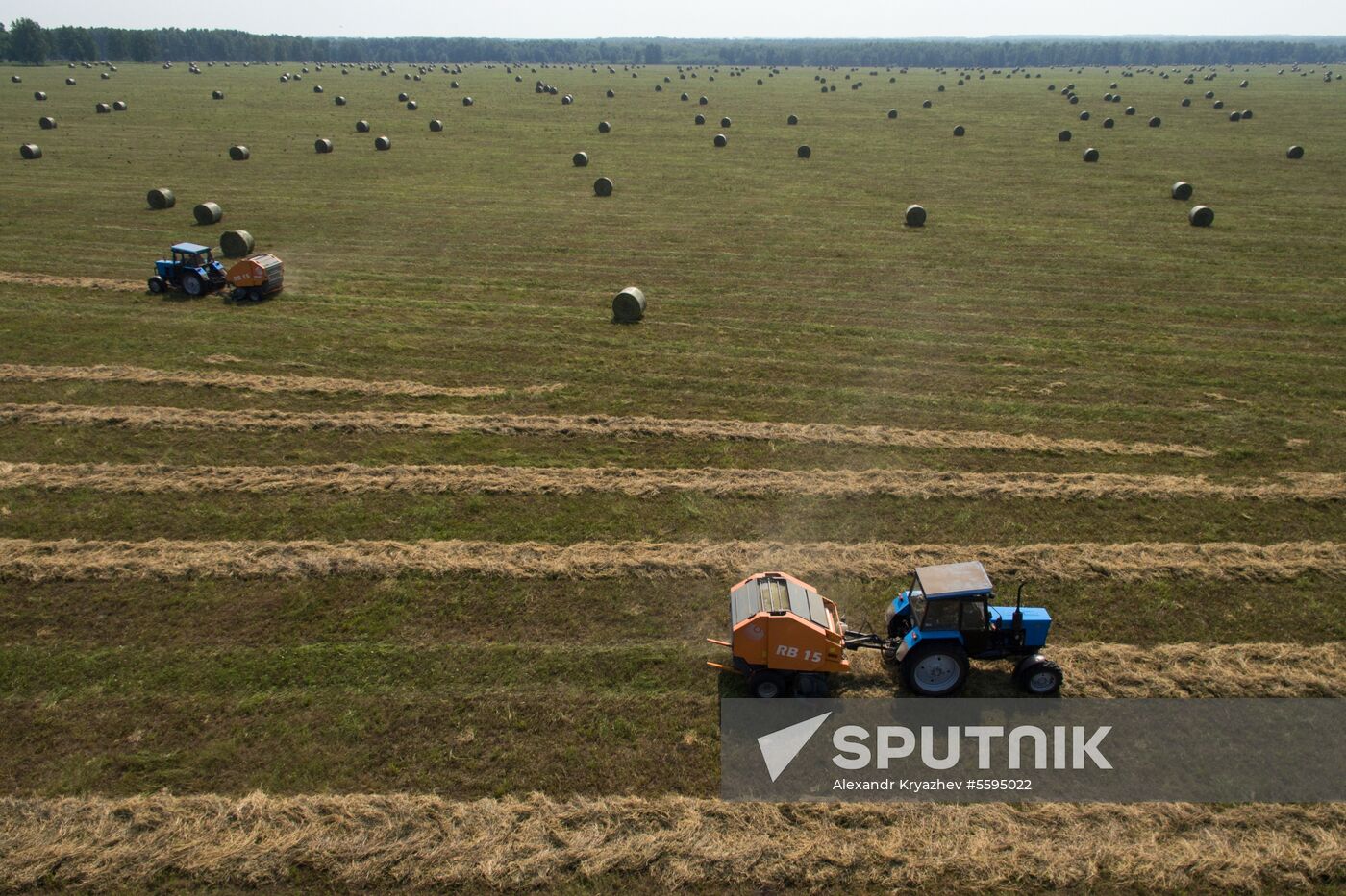 Forage harvesting in Novosibirsk Region