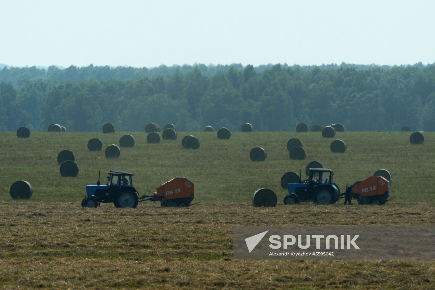 Forage harvesting in Novosibirsk Region