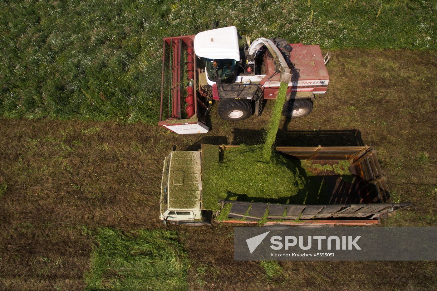 Forage harvesting in Novosibirsk Region