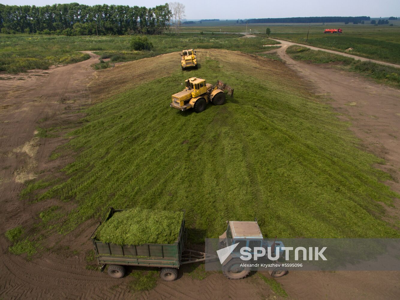 Forage harvesting in Novosibirsk Region
