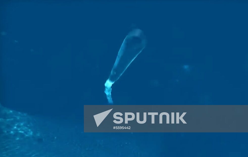 Poseidon multipurpose ocean system