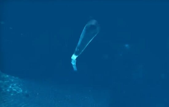 Poseidon multipurpose ocean system