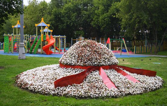 Most beautified courtyards in Moscow
