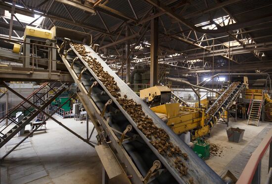 Brick production at Novokubansk Plant of Ceramic Wall Materials