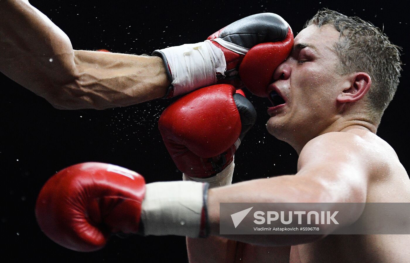 Boxing. Gassiev vs. Usyk
