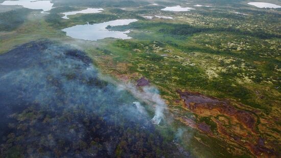 Wild fires in Murmansk Region