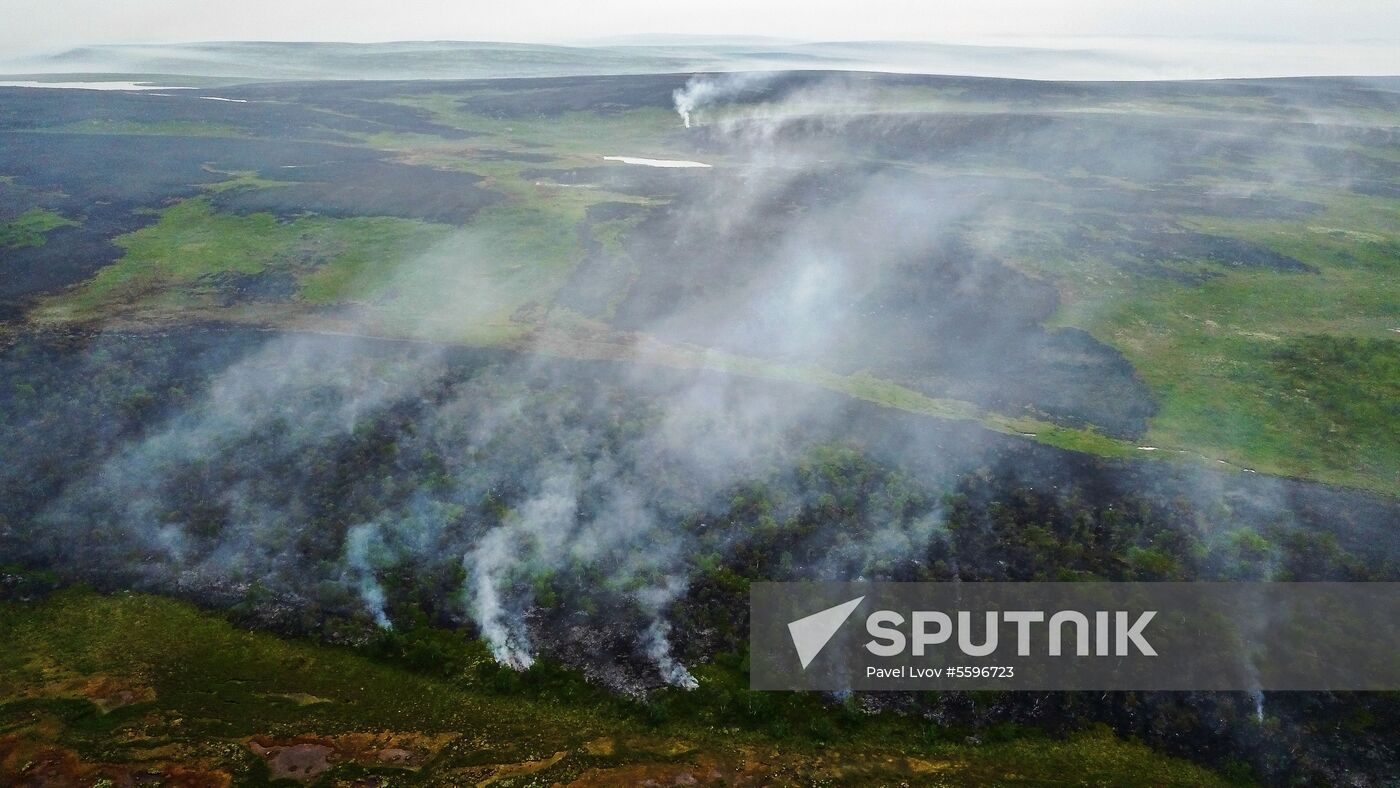 Wild fires in Murmansk Region