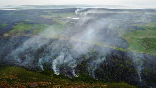 Wild fires in Murmansk Region