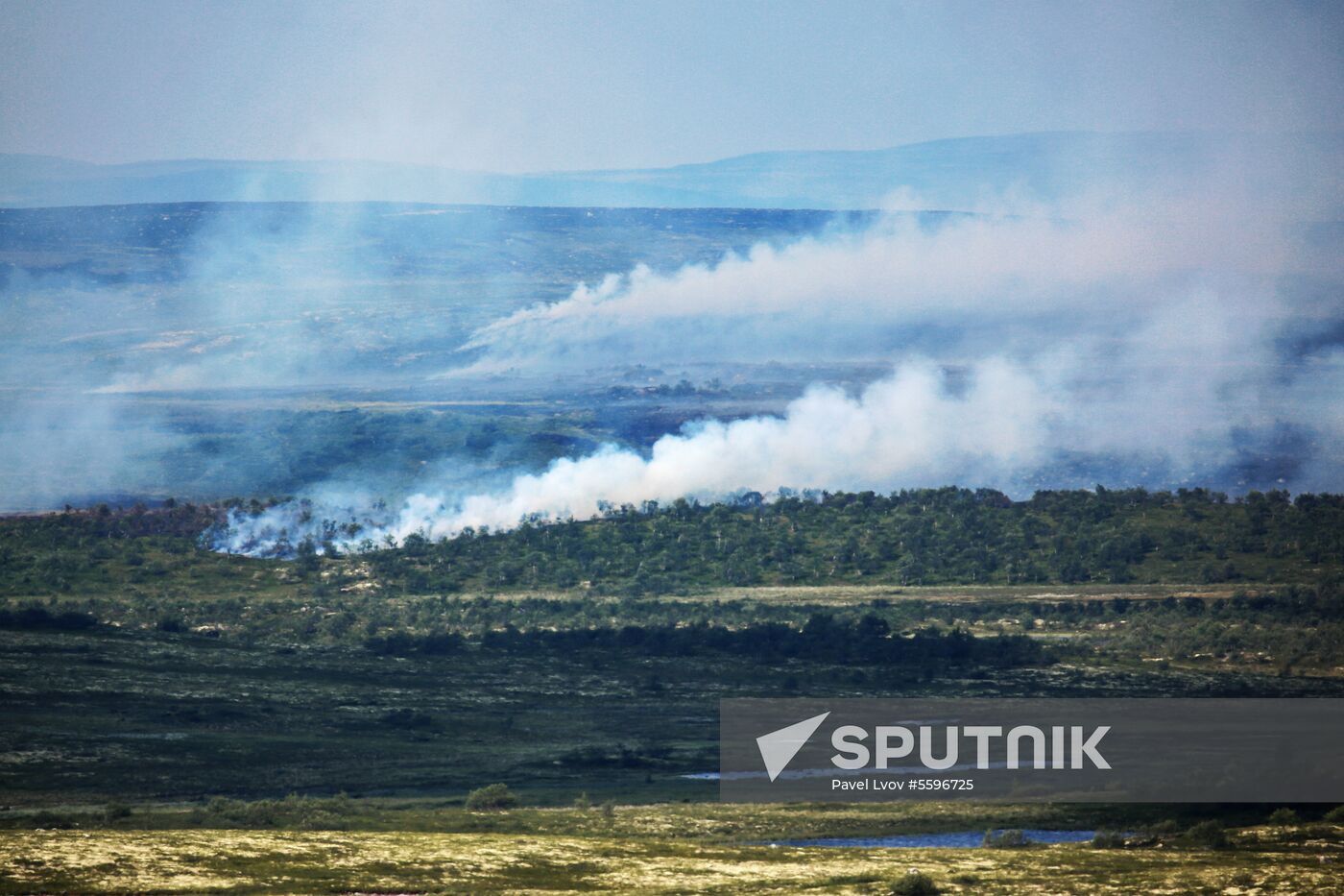 Wild fires in Murmansk Region