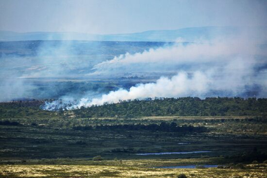 Wild fires in Murmansk Region